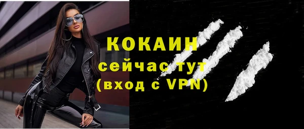 тгк Алзамай