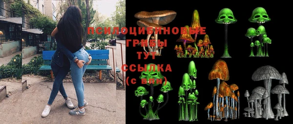 тгк Алзамай