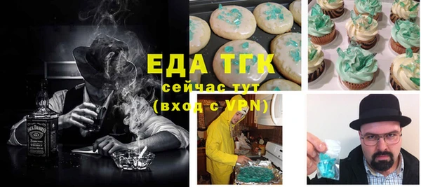 индика Приозерск