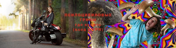 ALPHA-PVP Алексеевка